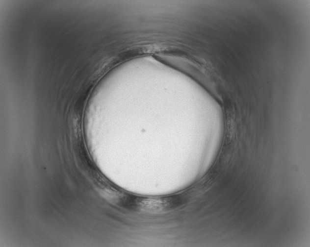 X0000080160123200701051615