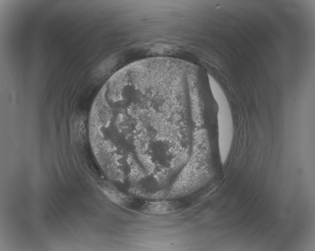 X0000080160127200701051615