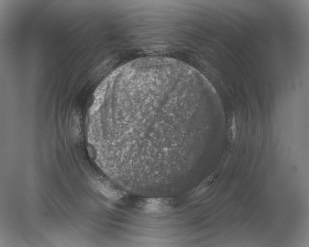 X0000080160130200701051615