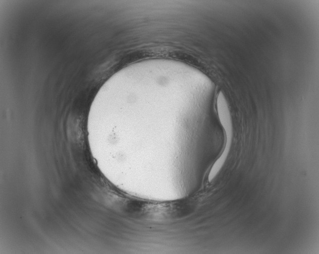 X0000080160131200701051615