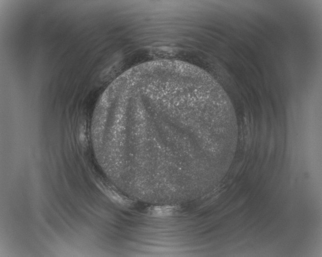 X0000080160134200701051615