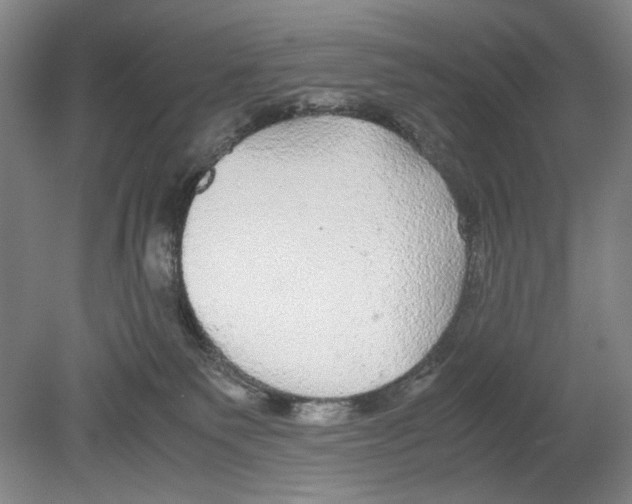 X0000080160135200701051615