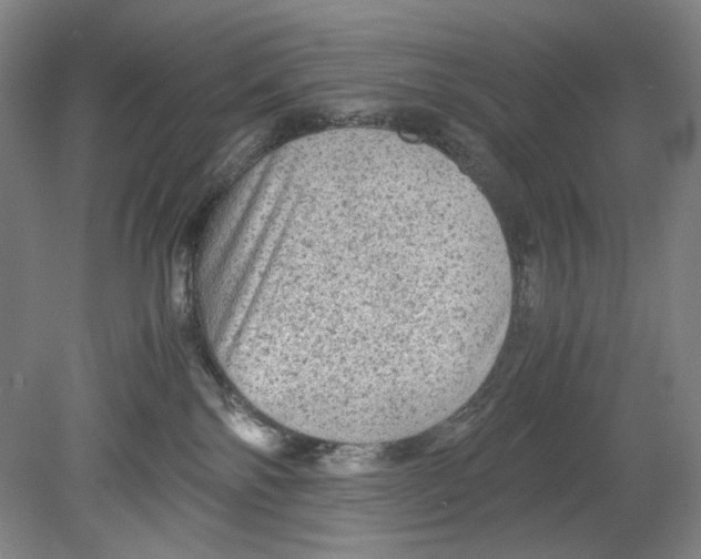 X0000080160138200701051615