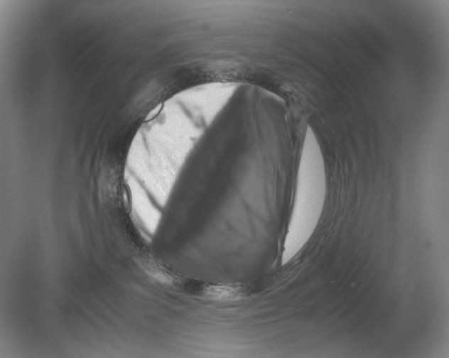 X0000080160139200701051615