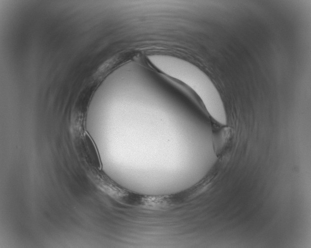 X0000080160141200701051615