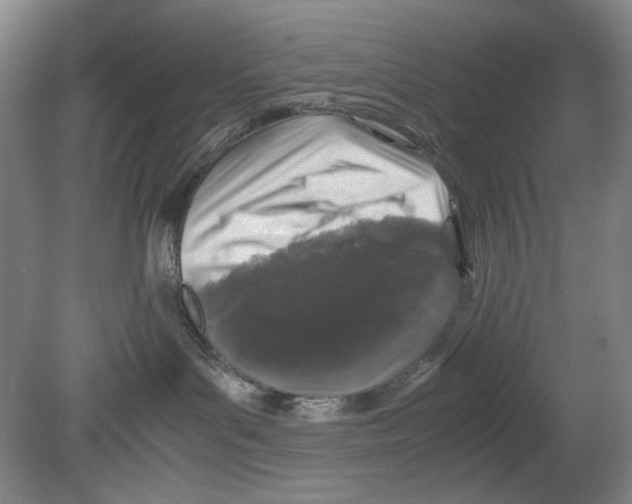 X0000080160143200701051615