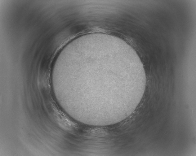 X0000080160146200701051614