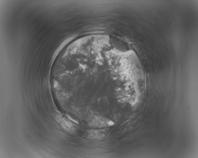 X0000080160147200701051614