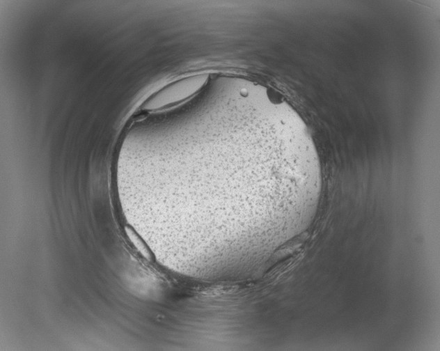 X0000080160148200701051614