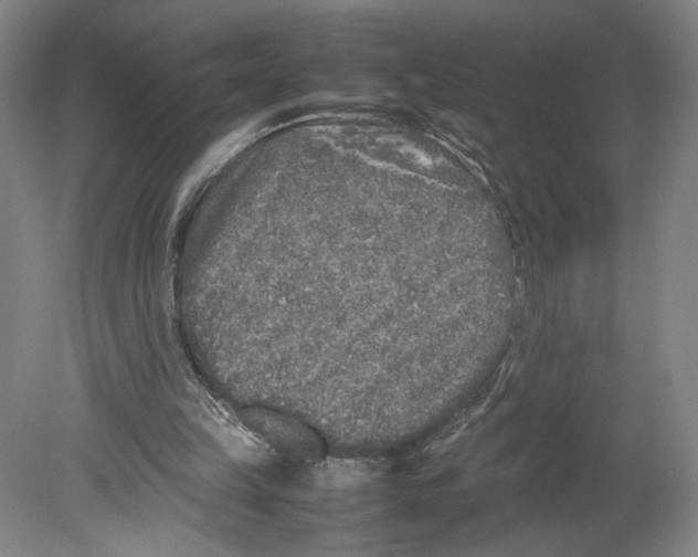 X0000080160149200701051614