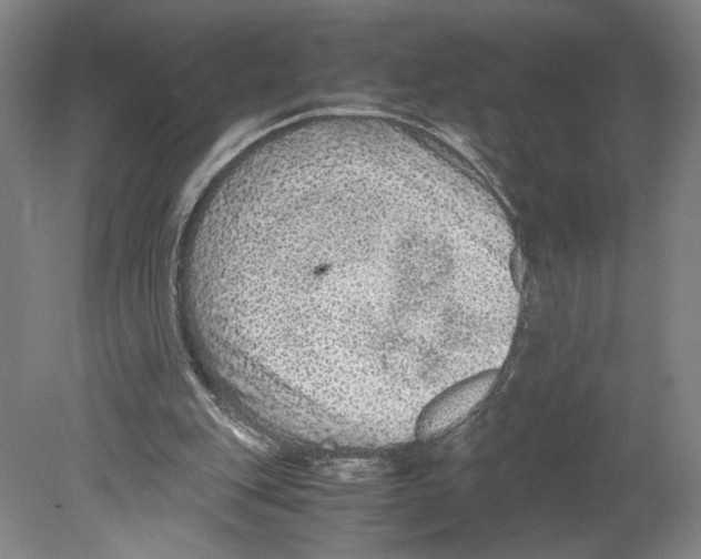 X0000080160151200701051614