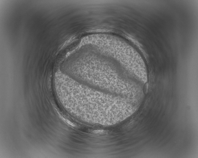 X0000080160153200701051614