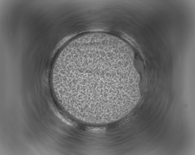 X0000080160155200701051614