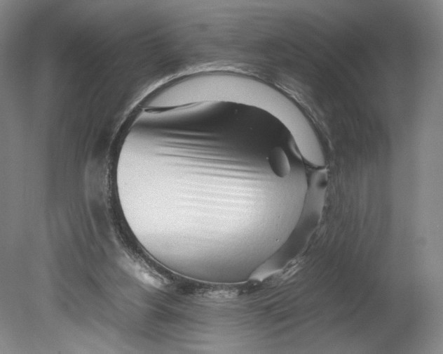 X0000080160156200701051614