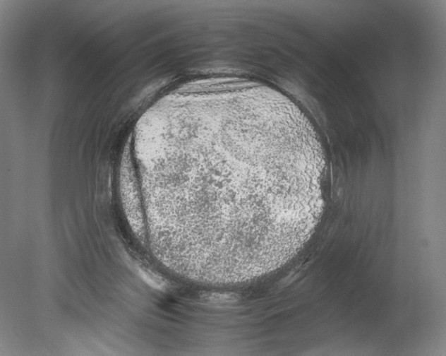 X0000080160157200701051614