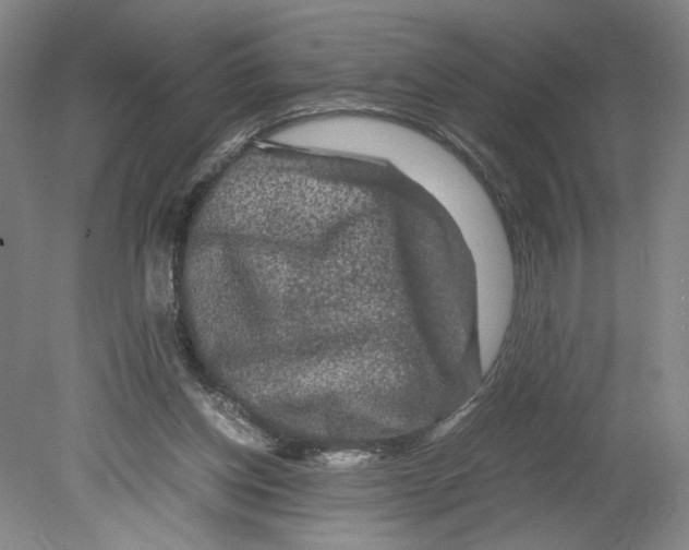 X0000080160158200701051614