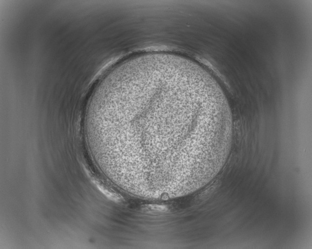 X0000080160159200701051614