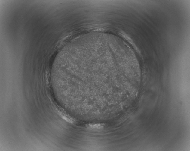 X0000080160161200701051614