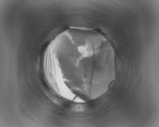 X0000080160163200701051614