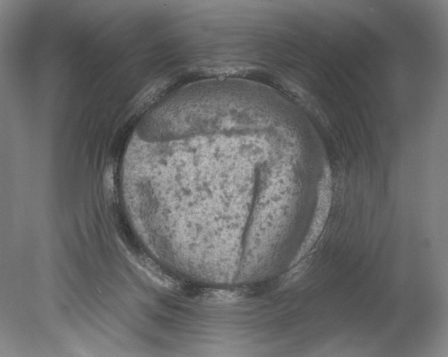 X0000080160166200701051614