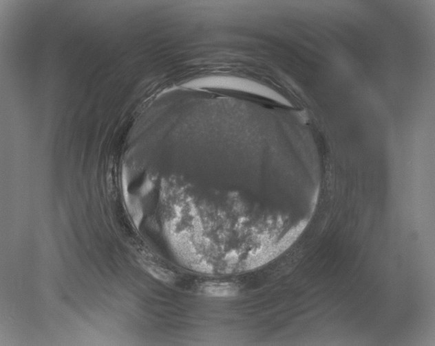 X0000080160169200701051614