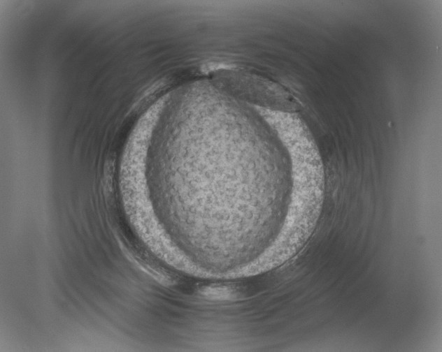 X0000080160171200701051614