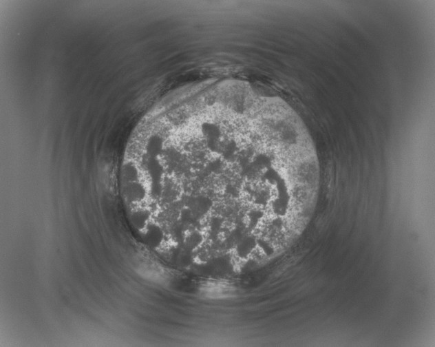 X0000080160177200701051615