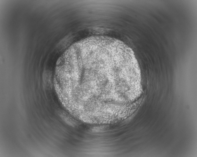 X0000080160178200701051615