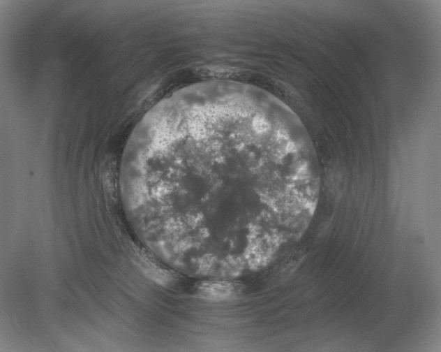 X0000080160181200701051615