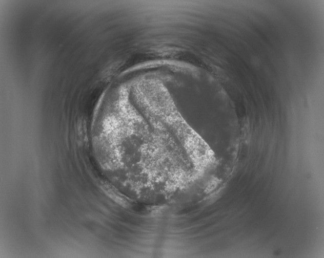 X0000080160182200701051615