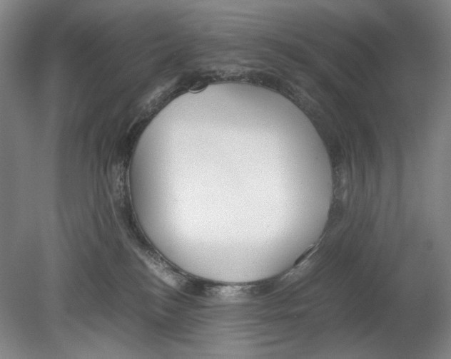 X0000080160184200701051615