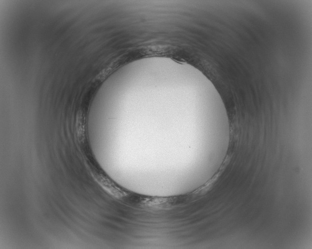 X0000080160186200701051615