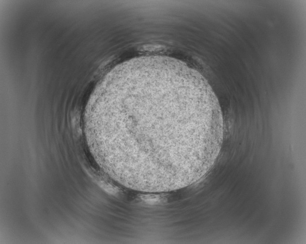 X0000080160187200701051615