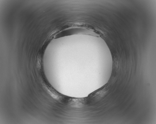 X0000080160188200701051615