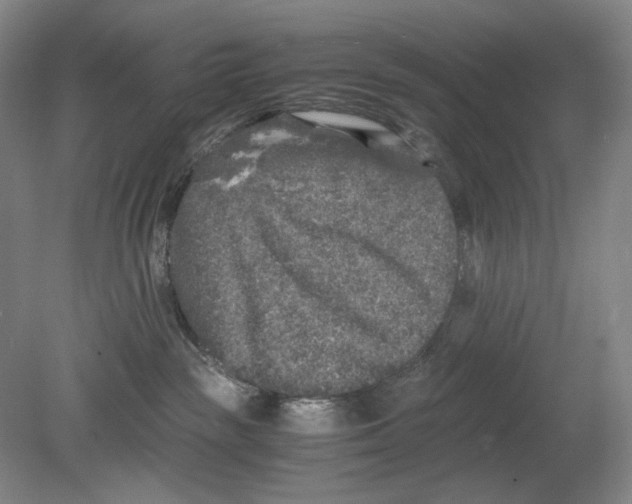 X0000080160189200701051615