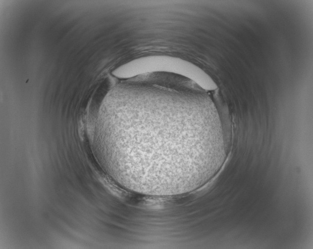 X0000080160190200701051615