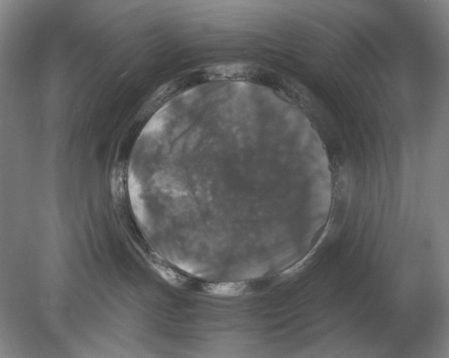 X0000080160191200701051615