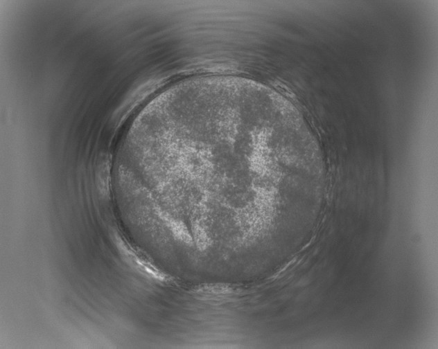 X0000080160194200701051614