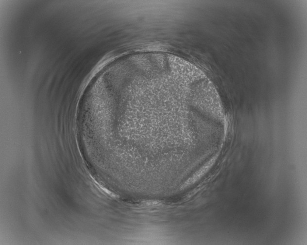 X0000080160195200701051614