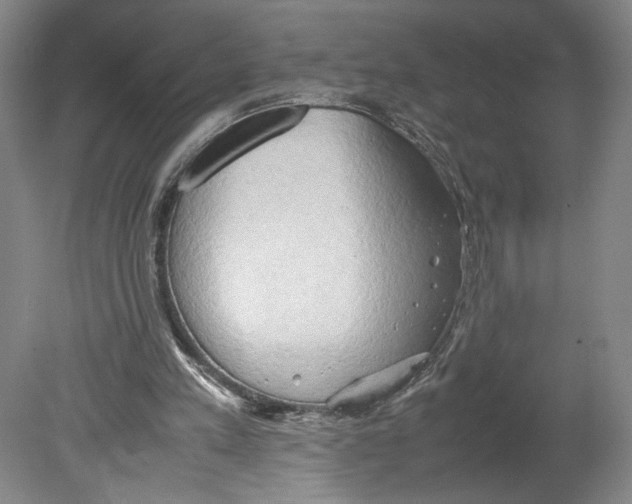 X0000080160197200701051614