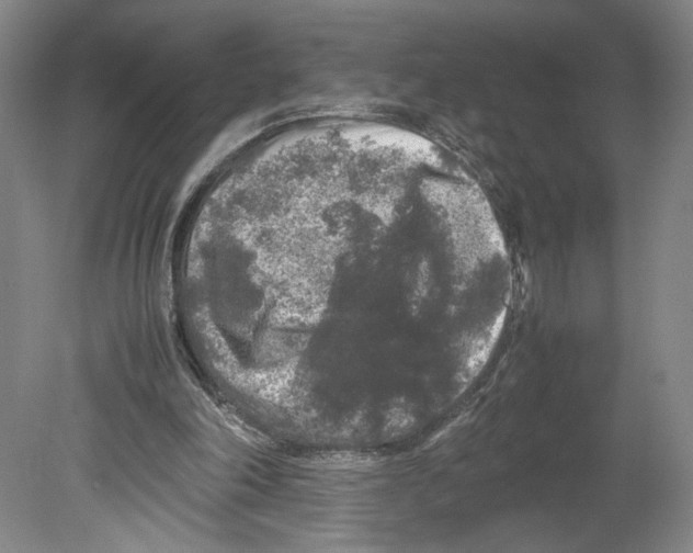 X0000080160198200701051614