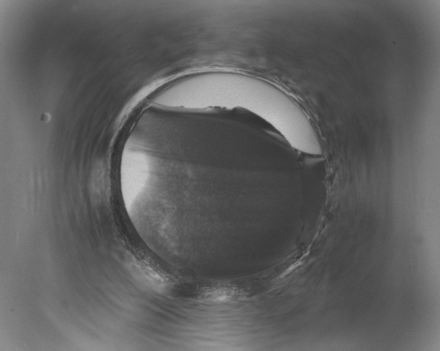 X0000080160200200701051614