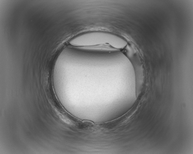 X0000080160201200701051614