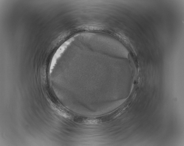 X0000080160202200701051614