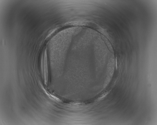 X0000080160205200701051614