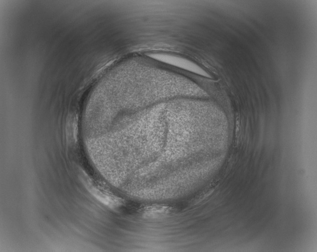 X0000080160206200701051614