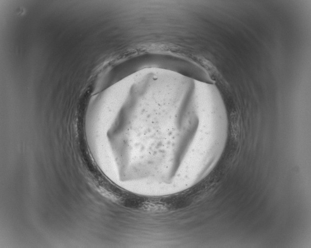 X0000080160207200701051614