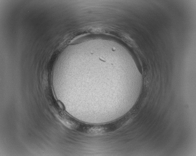 X0000080160213200701051614