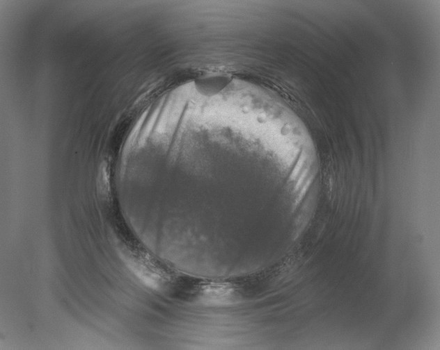 X0000080160214200701051614