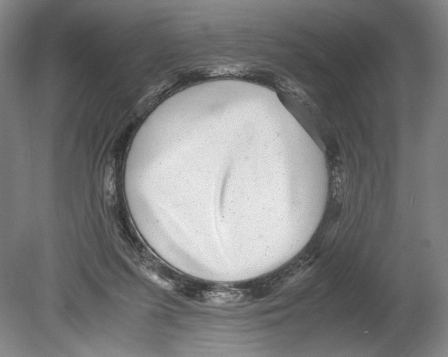 X0000080160215200701051614